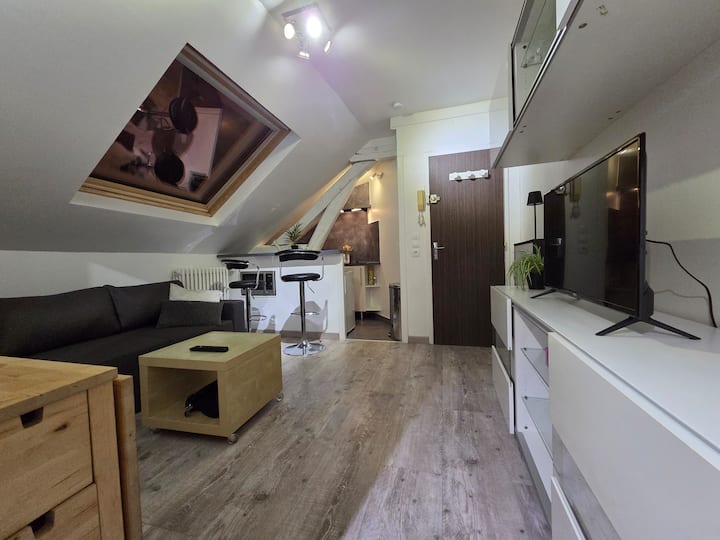 T2 Cosy Hyper Centre - Troyes