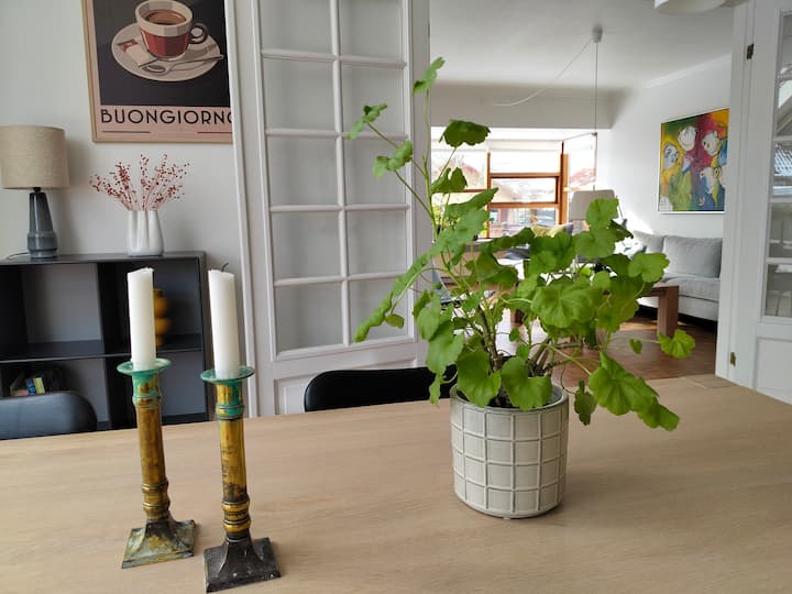 Stort Og Lyst Hus Tæt På Det Hele - Odense