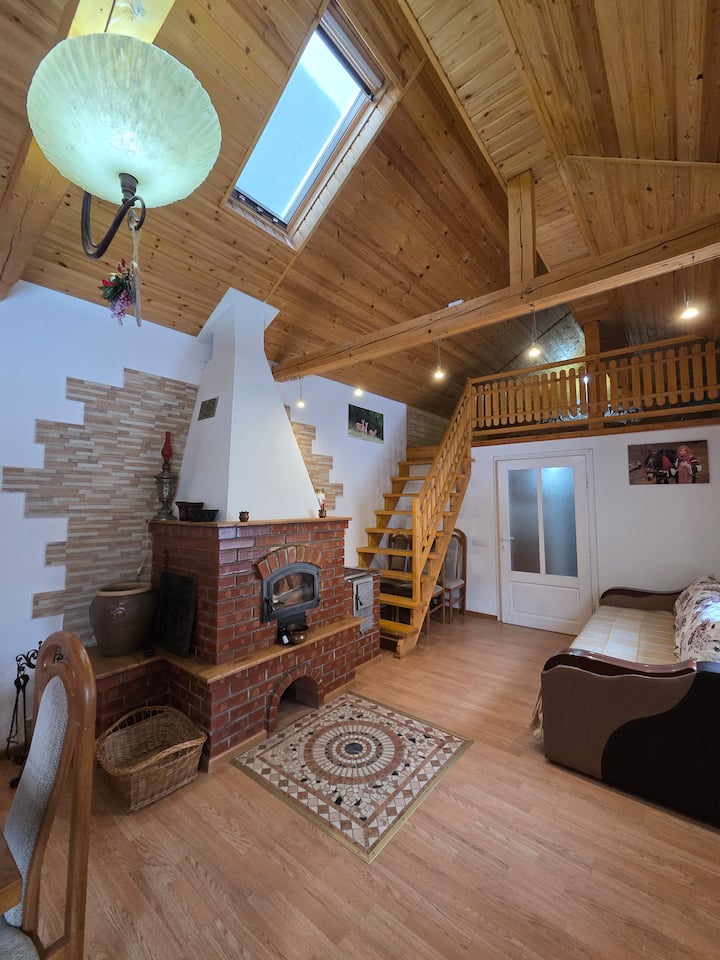 Casa Delcris - Fundu Moldovei