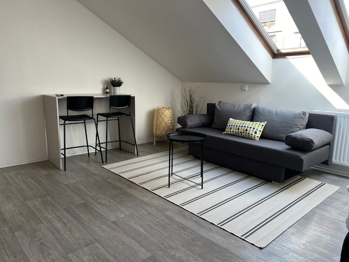 (3) Friendly Studio In New Town - Praag