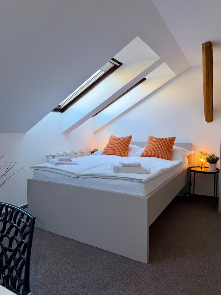(4) Cozy Studio In New Town - Praag