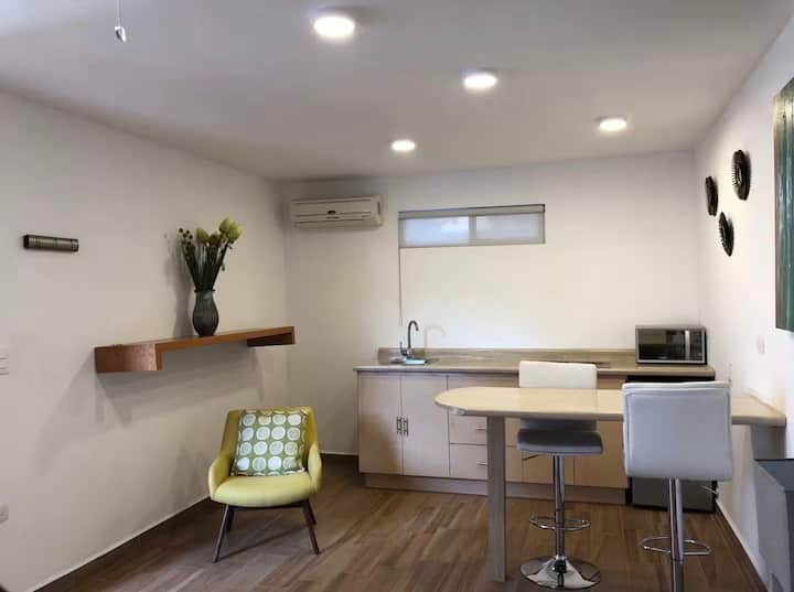 Acogedor Loft En Planta Baja - San Pedro Garza García
