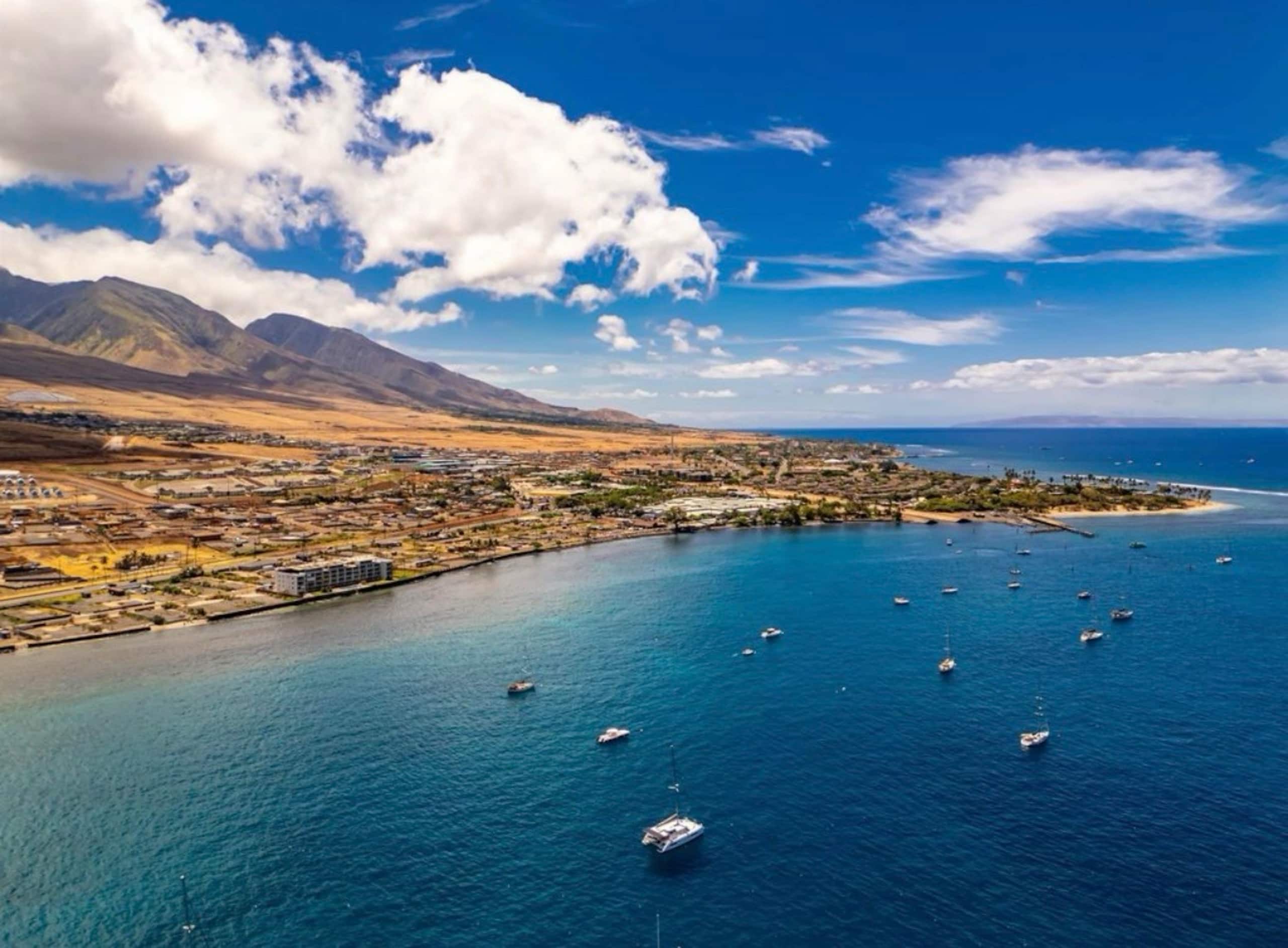 Condo in Lahaina · ★5.0 · 1 bedroom · 2 beds · 1 bath - Image 20