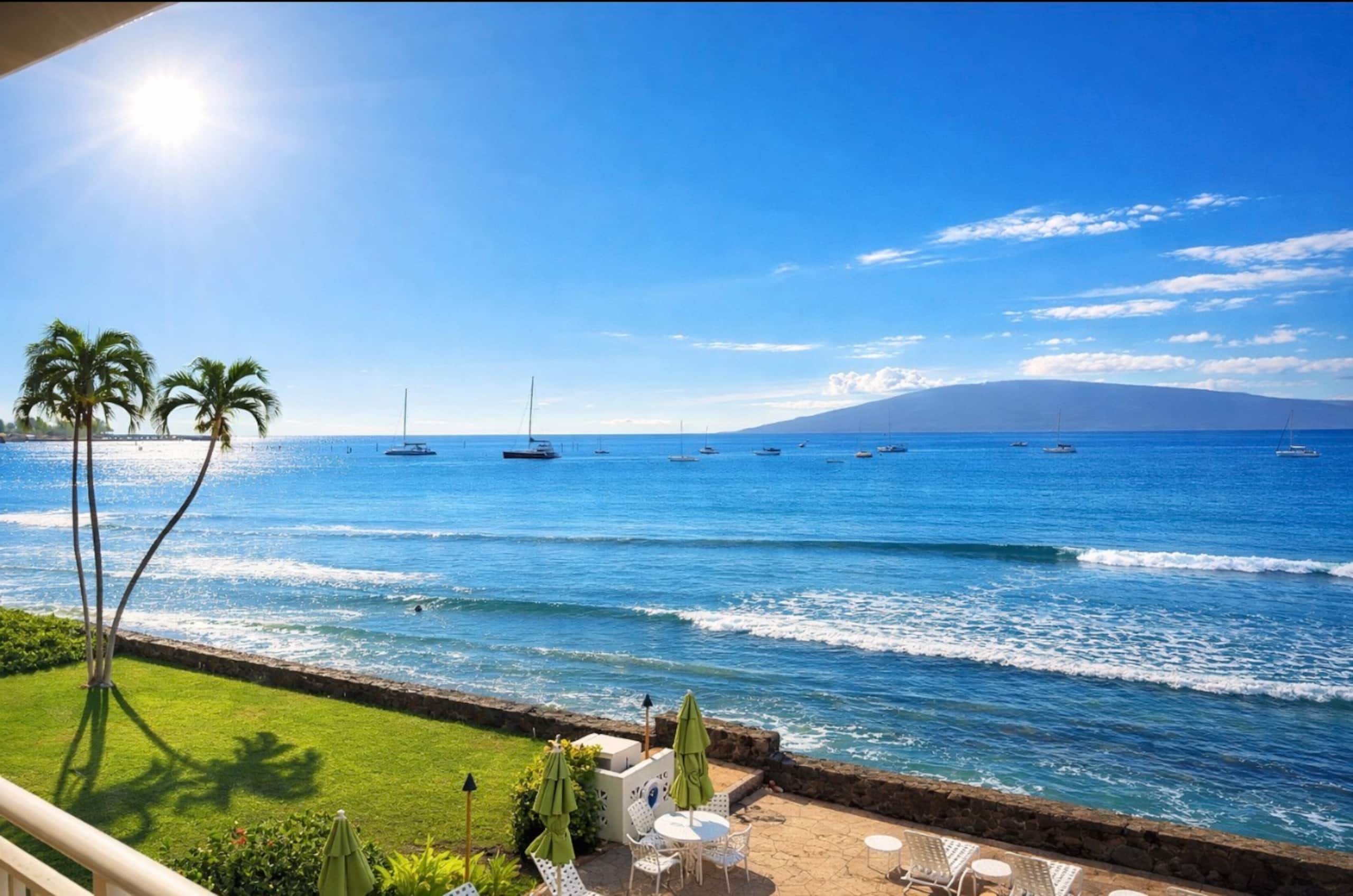 Condo in Lahaina · ★5.0 · 1 bedroom · 2 beds · 1 bath - Image 12