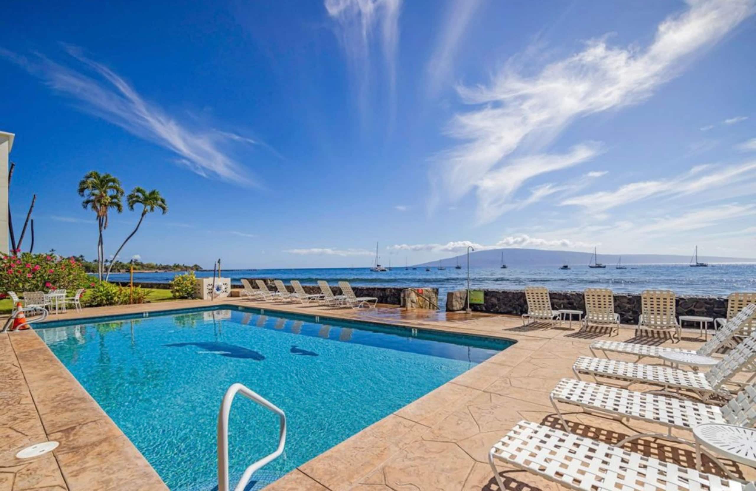 Condo in Lahaina · ★5.0 · 1 bedroom · 2 beds · 1 bath - Image 14