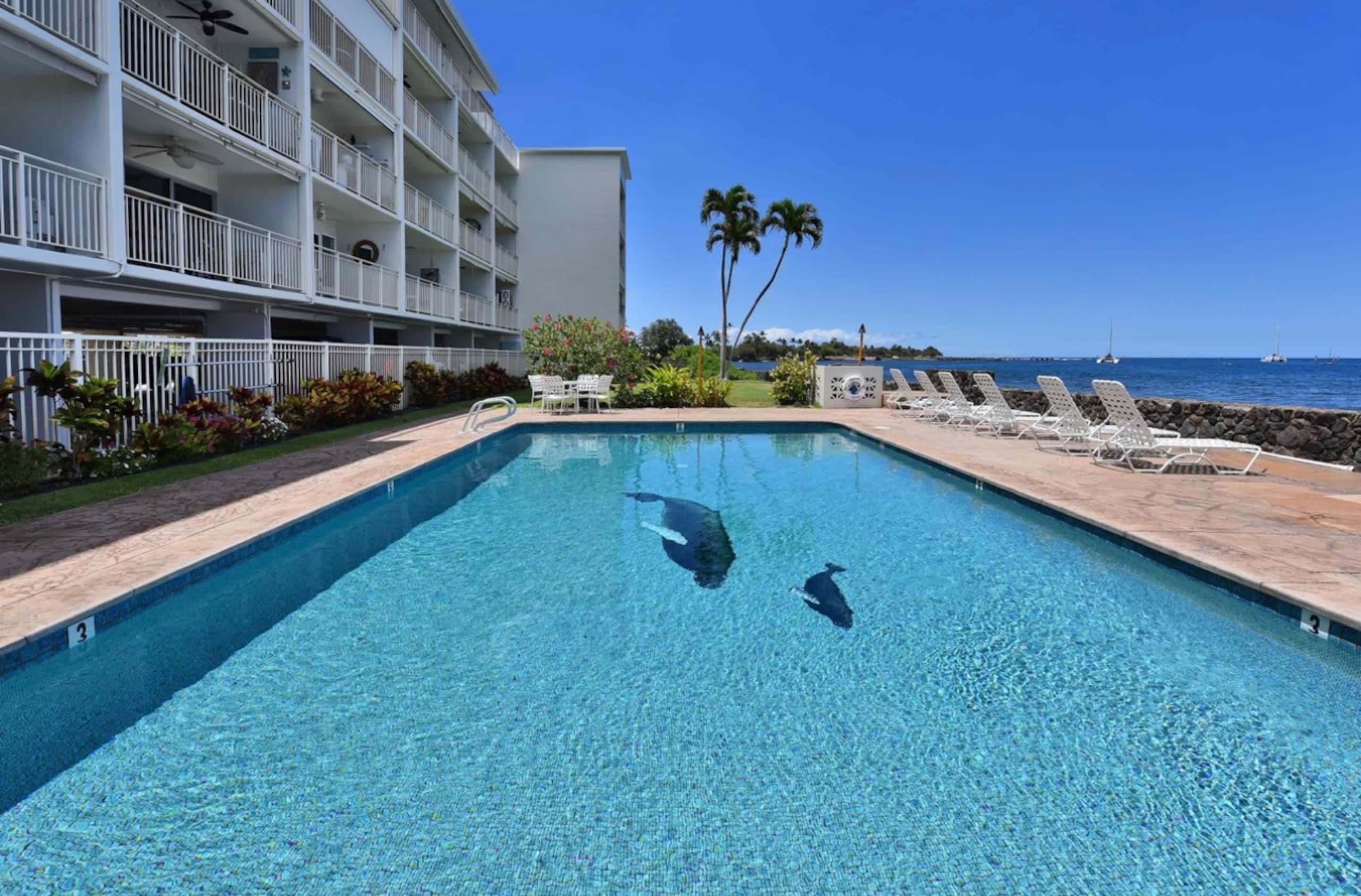 Condo in Lahaina · ★5.0 · 1 bedroom · 2 beds · 1 bath - Image 13
