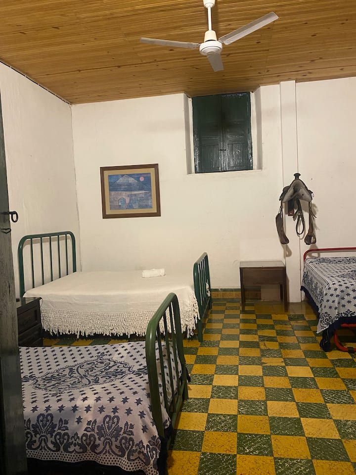 Habitación 7
