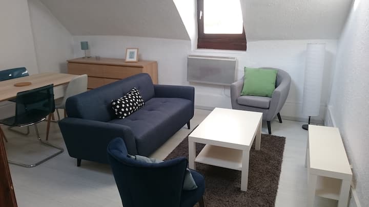 Logis Des Toits - Charmant Cocon Au Cœur De Dijon - Dijon