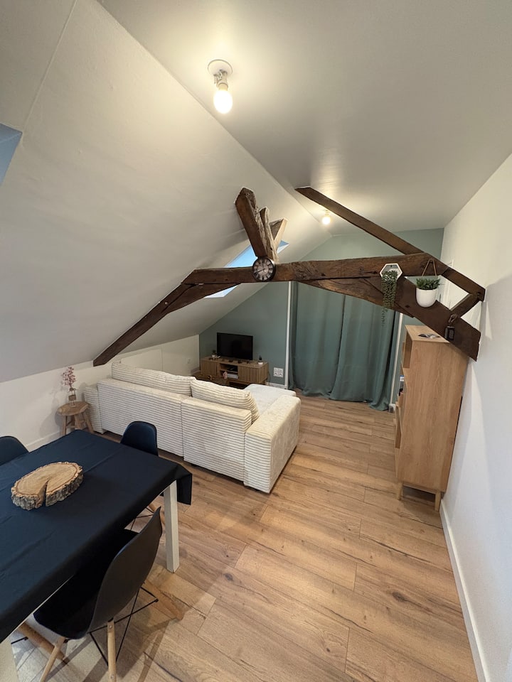 Charmant T2 Au Cœur De Château-gontier - Château-Gontier