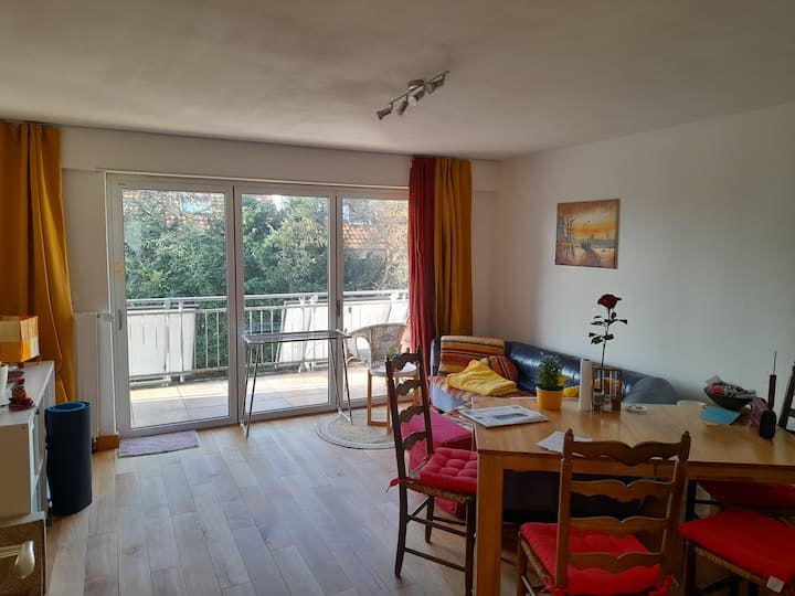 Stilvolle 3-zimmer-wohnung Im Herzen Von Tübingen - Tübingen