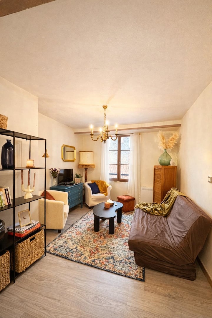 Charmant Appartement Hypercentre Le Puy-en-velay - Le Puy