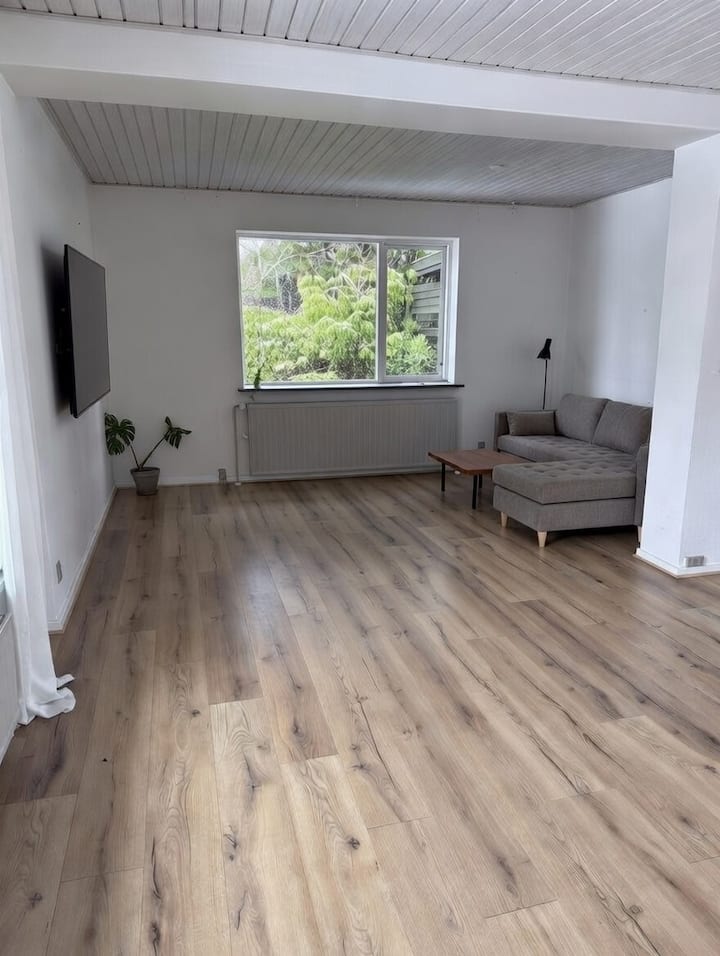 Familievenligt Hus Med Sø Og Have - Odense