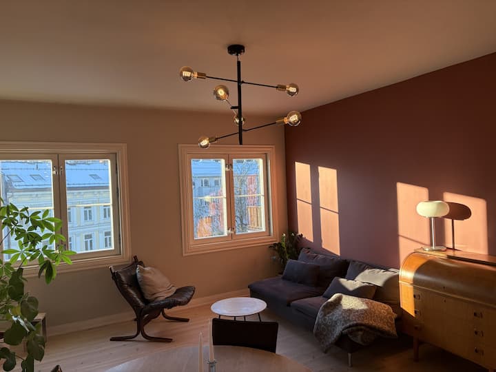Toppleilighet På Bislett - Oslo