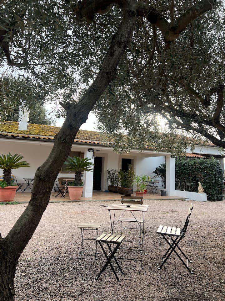 Capalbio Da Franci - Malva Casa Vacanze - Capalbio