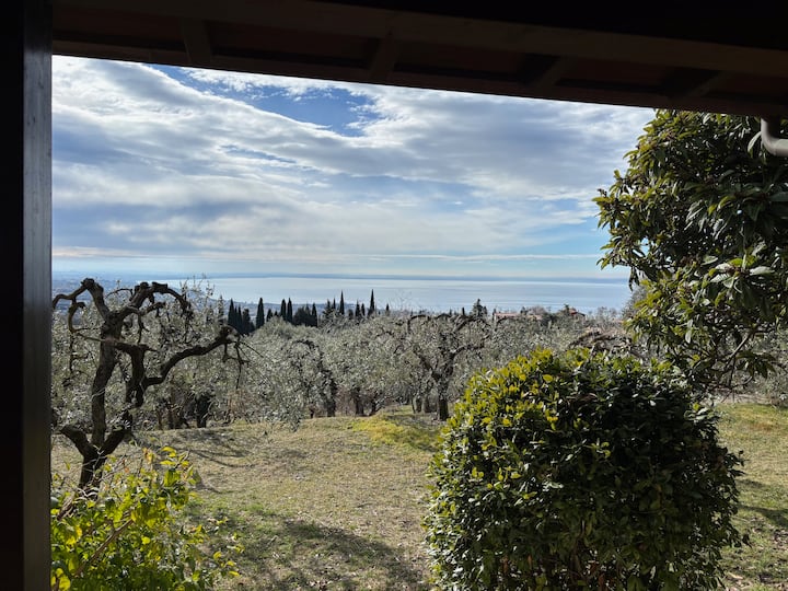 Indipendent House Cà Bottura With Olive Trees - Bardolino