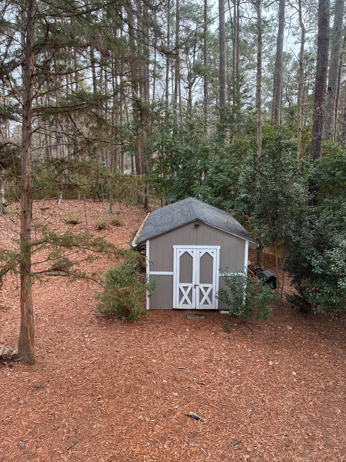 Treetops at Duke - Flats for Rent in Durham, North Carolina, United ...