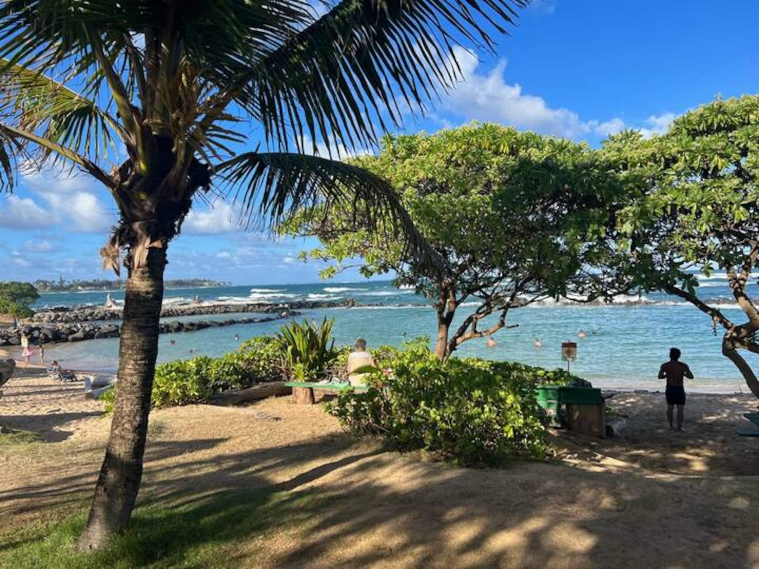 Condo in Lihue · ★5.0 · 1 bedroom · 2 beds · 1 bath - Image 24