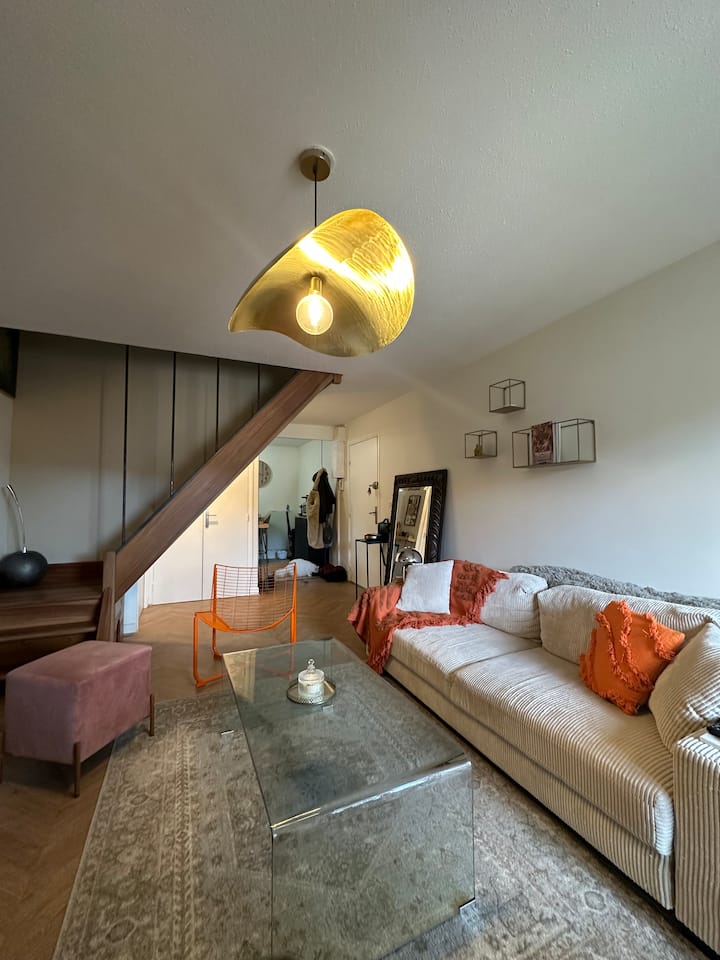 Appartement Design Et Cosy : Emplacement Idéal. - Aurillac