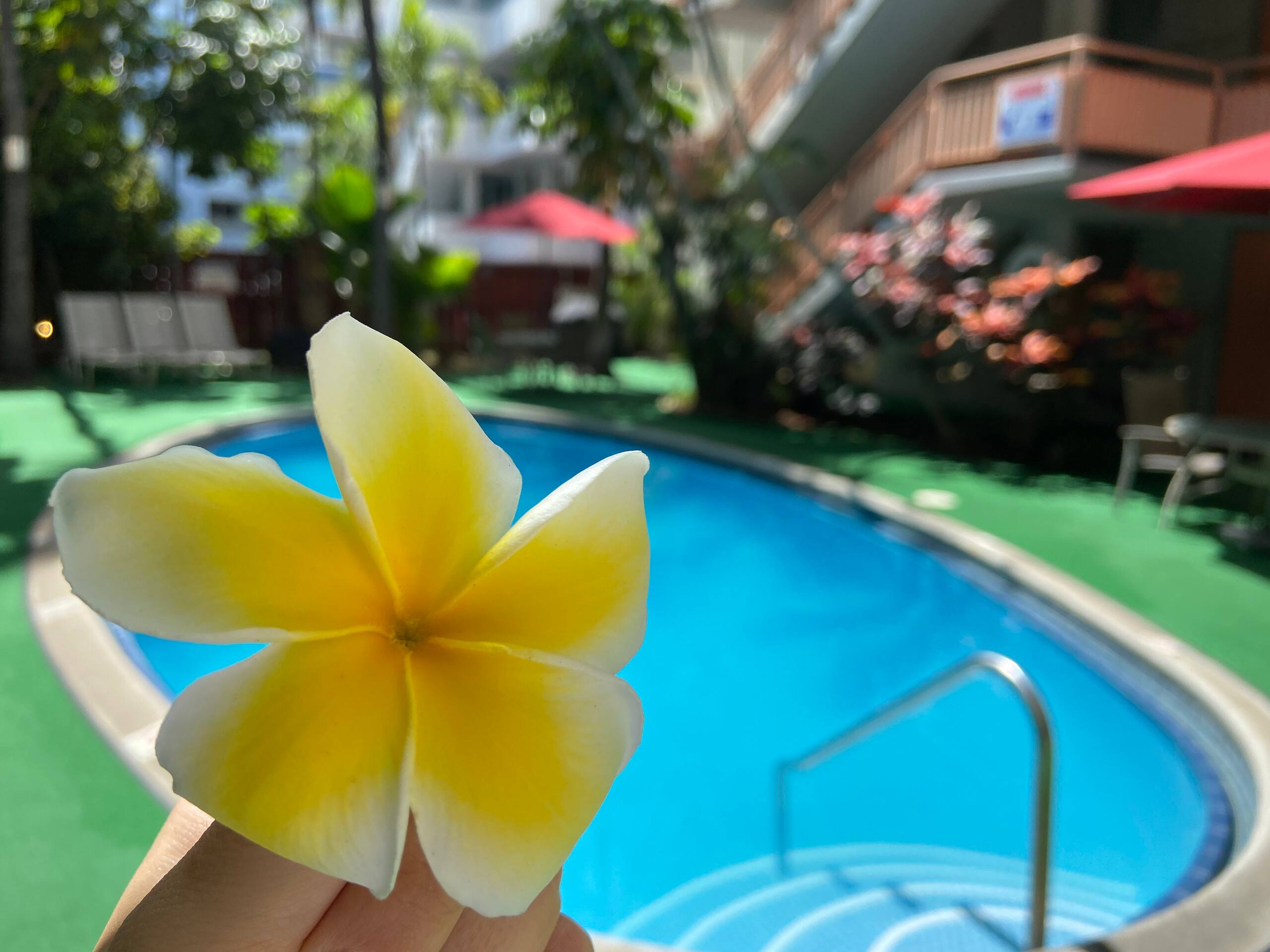 Wakiki condo near beach, kitchen, pool, sleeps 8 - Image 82