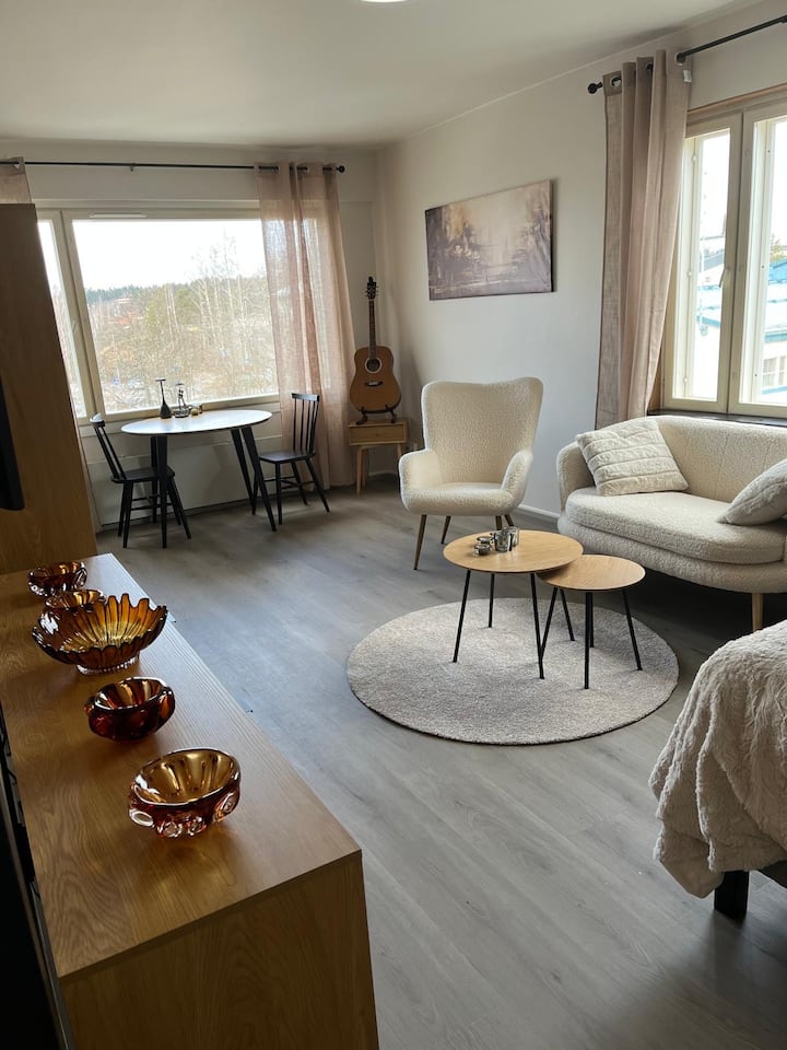Remontoitu Valoisa Yksiö Savonlinnan Keskustassa. - Savonlinna