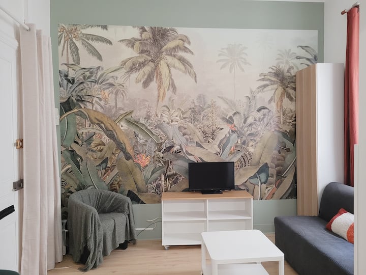 Magnifique Studio Central à 2 Pas De L Océan - Biarritz