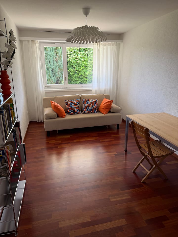 2.5-rooms Apartment In The Heart Of St.gallen - St. Gallen, İsviçre