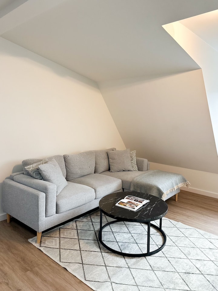 Central Luxury Apartment With Free Parking (59 M2) - Vilnius