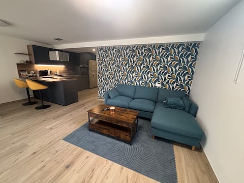 Successful Airbnb property: Large new F2 with terrace – Paris, Disney & CDG in Chelles