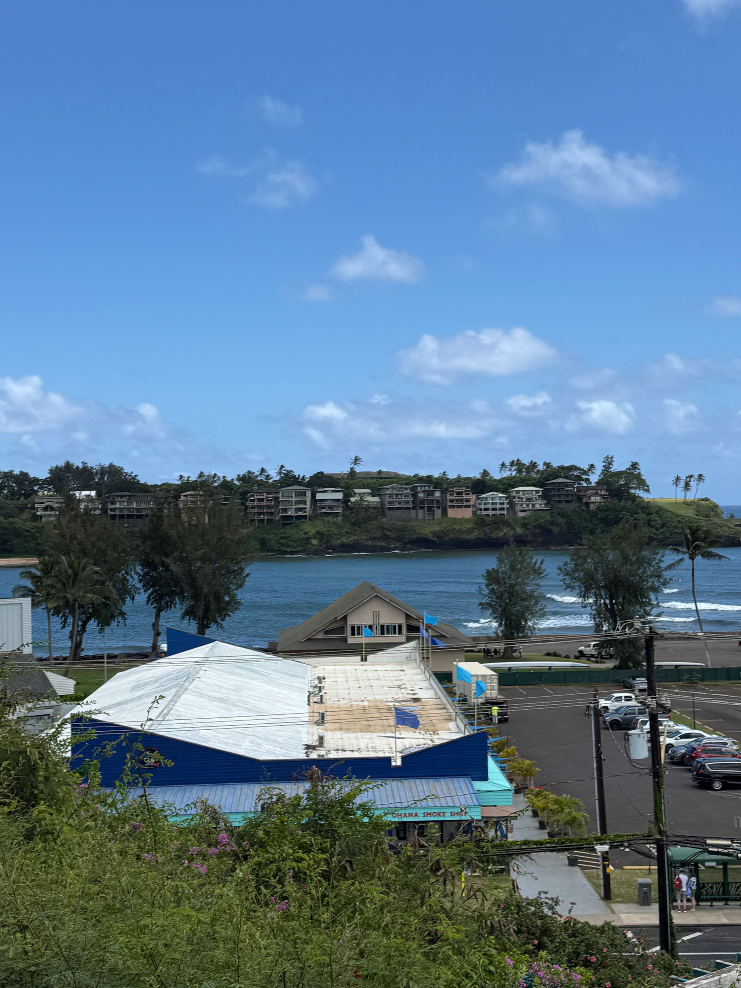 Banyan Harbor Paradise Condo - Photo 38