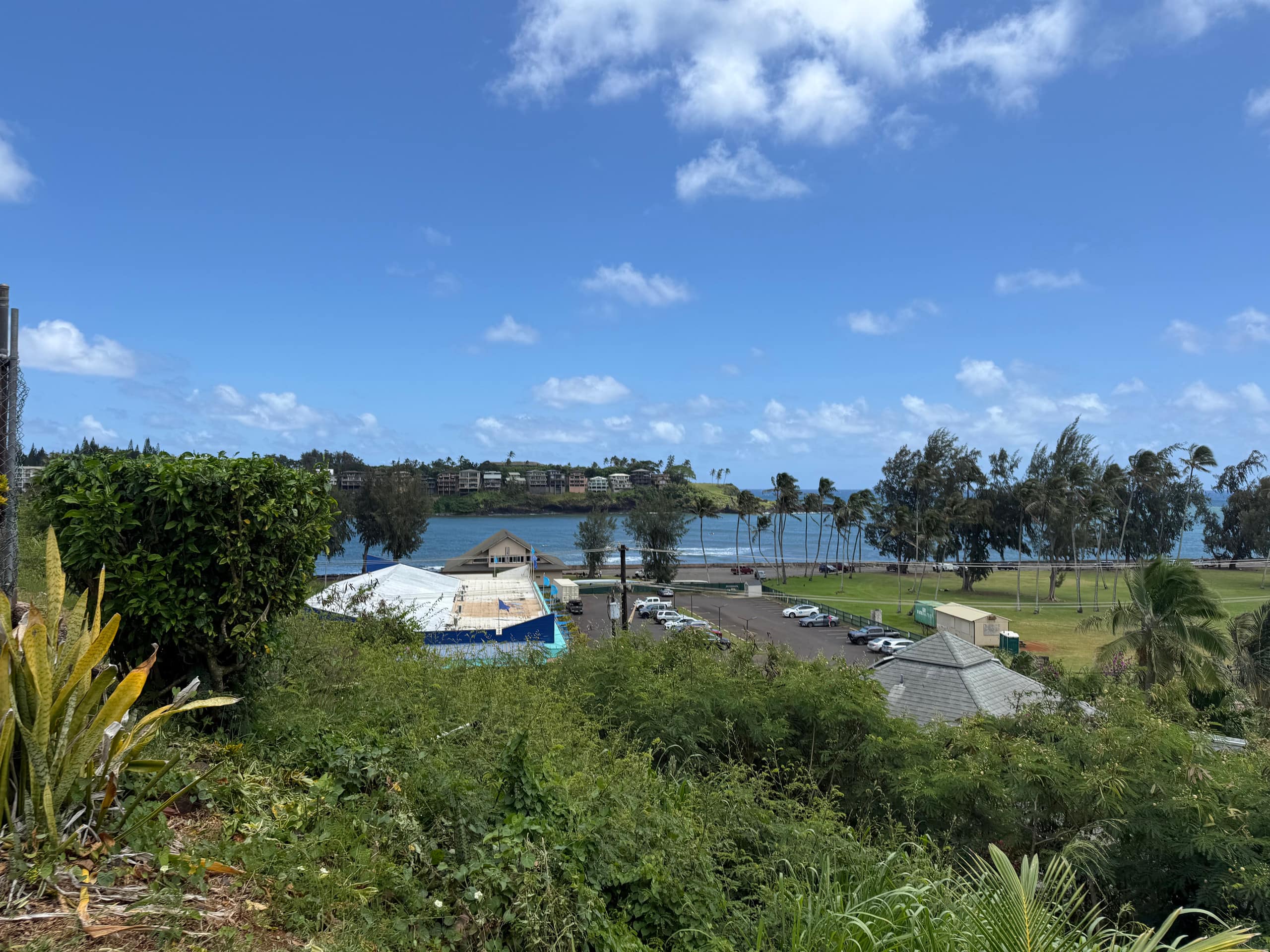 Banyan Harbor Paradise Condo - Photo 39