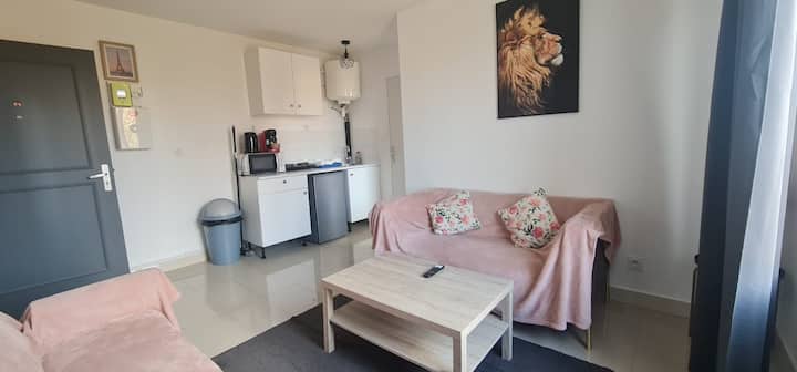 Appartement Cosy 20 Minutes De Paris Est Cdg - Aulnay-sous-Bois
