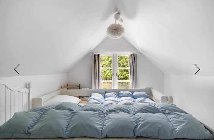 Habitación 3