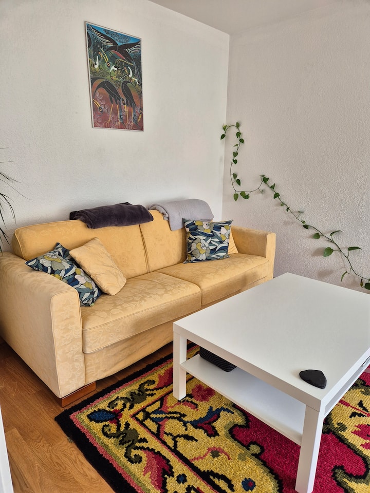 Chambre à Louer à 7 Minutes Du Centre-ville - Losanna