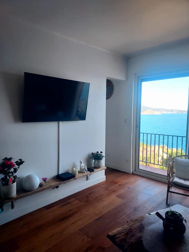 Maison Vue Mer Les Pieds Dans L'eau - Cerbère