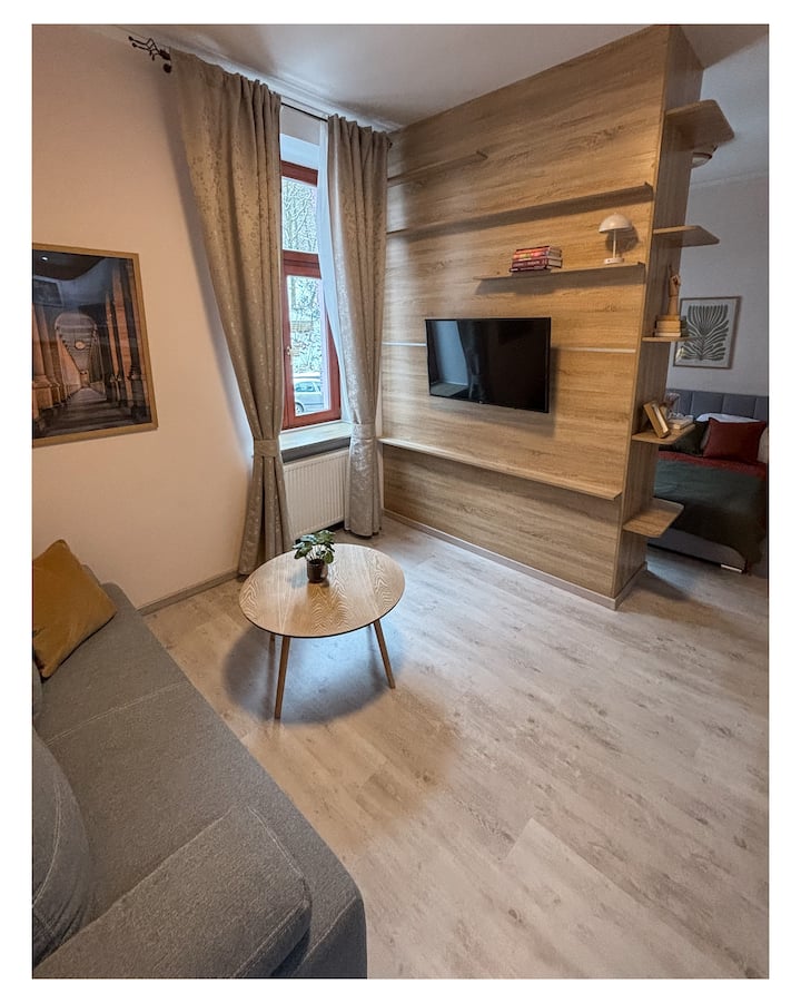 Carlsbad Central Studio With Free Parking - Karlovy Vary