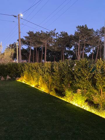 Sintra Beach House gallery image 5