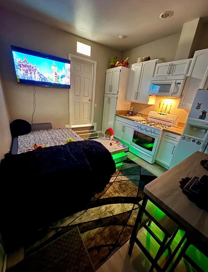 Beautiful Modern Grinch Themed Guesthouse - 노스라스베이거스