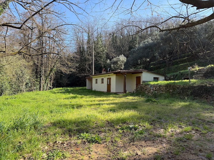 La Casa Nel Bosco, Pace E Relax Nella Natura - Montecatini Terme