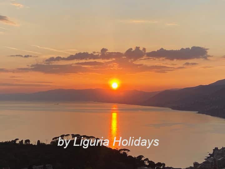 "Blue Horizon" - Liguria Holidays - Camogli