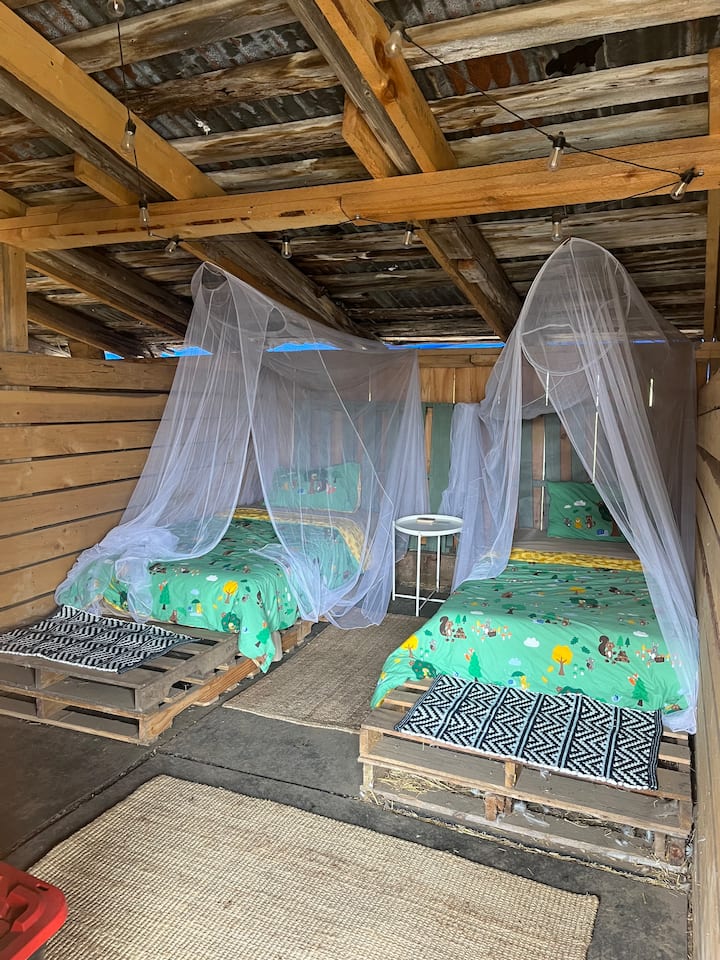 Pigstay In Trent Hills - Campbellford
