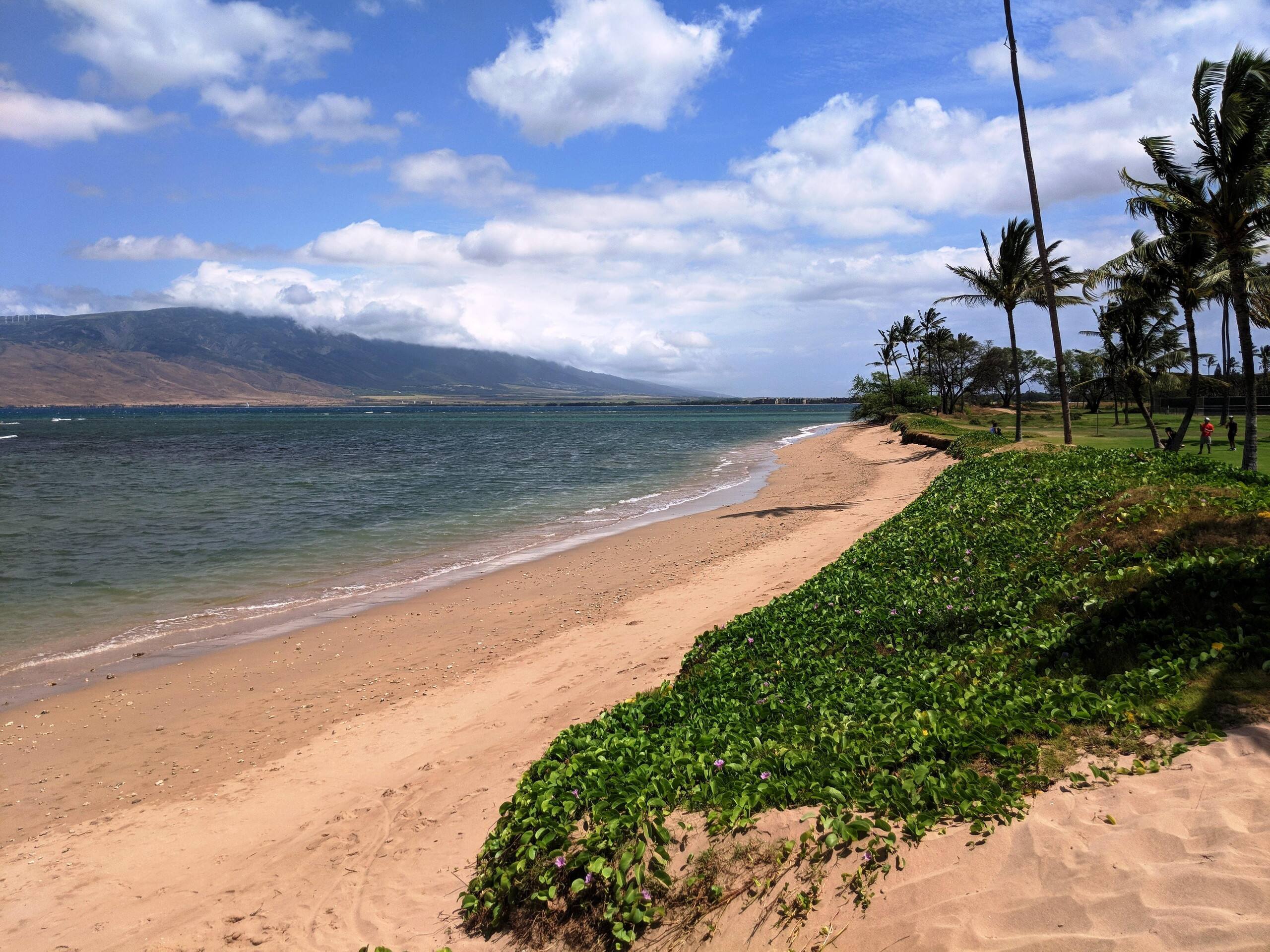 Condo in Kihei · ★4.56 · 1 bedroom · 2 beds · 2 private baths - Image 25