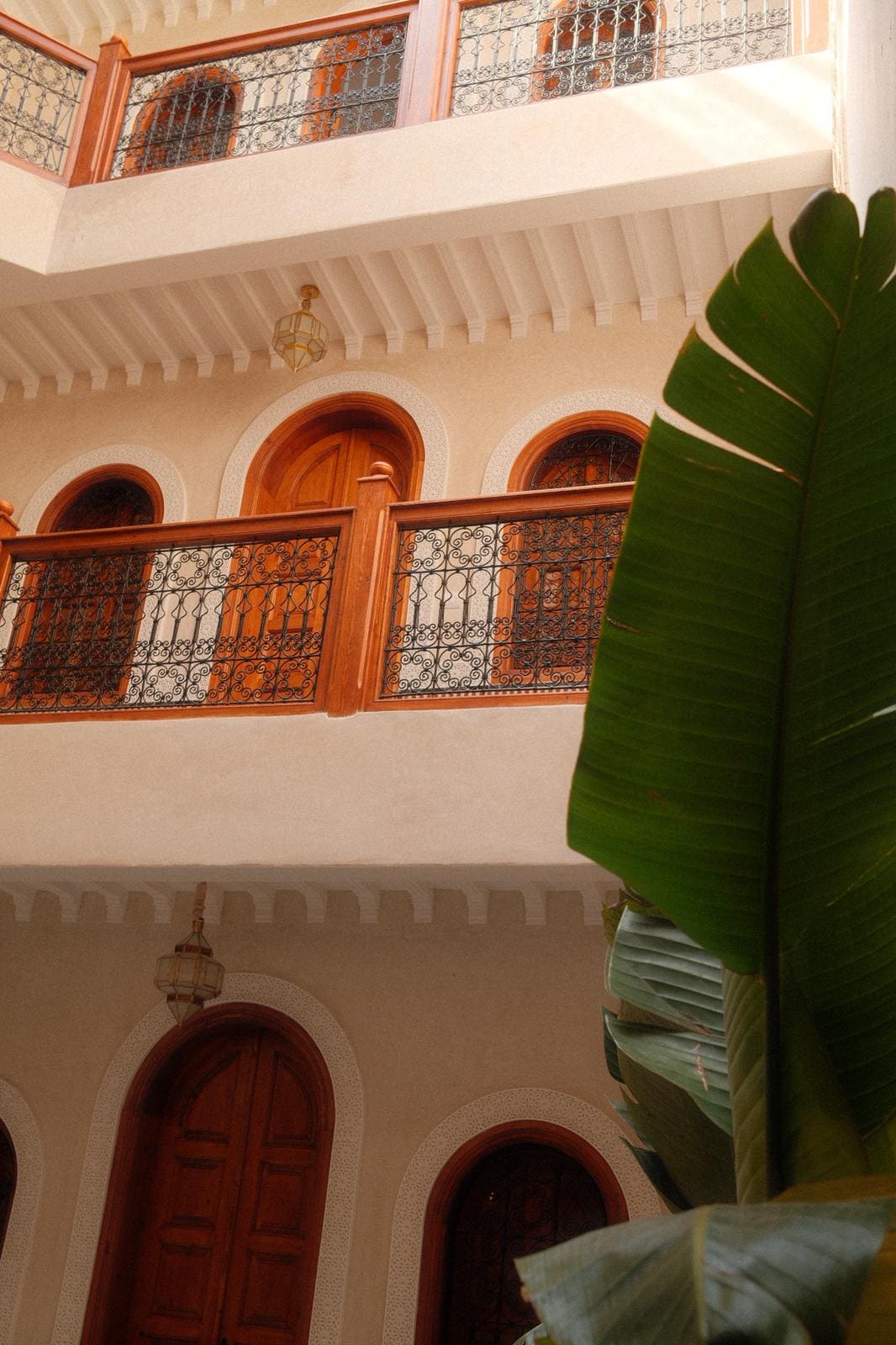 Guesthouse in Marrakesh  New  1 bedroom  1 bed  1 private bath - image 5