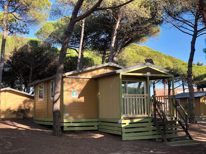 Chalet Classik - 5 Pers - Agde