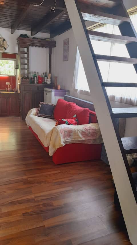 Popular Airbnb listing: Cabin in the Tigre Delta • Nature and fauna in Primera Sección