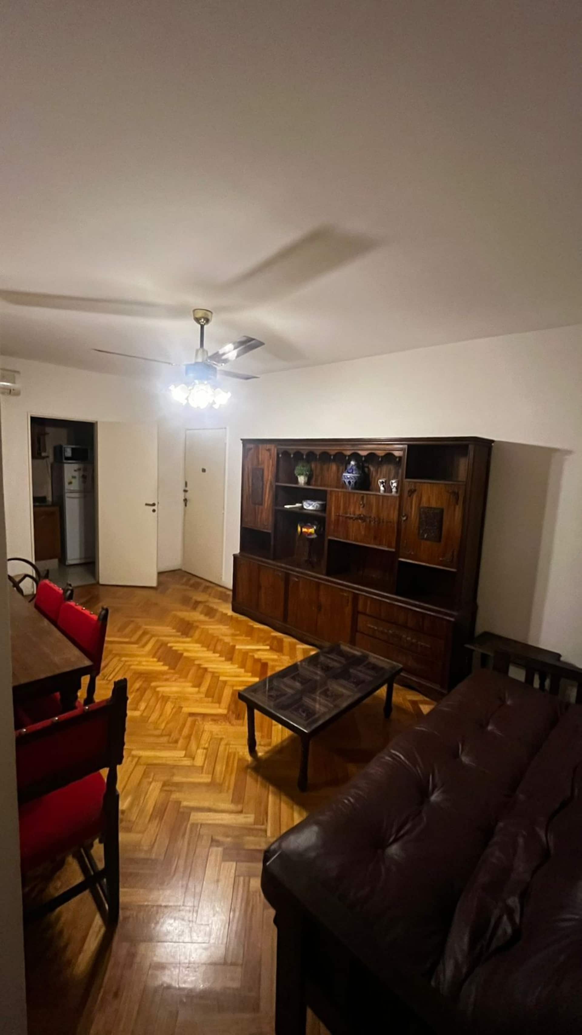 Microcentro apartment