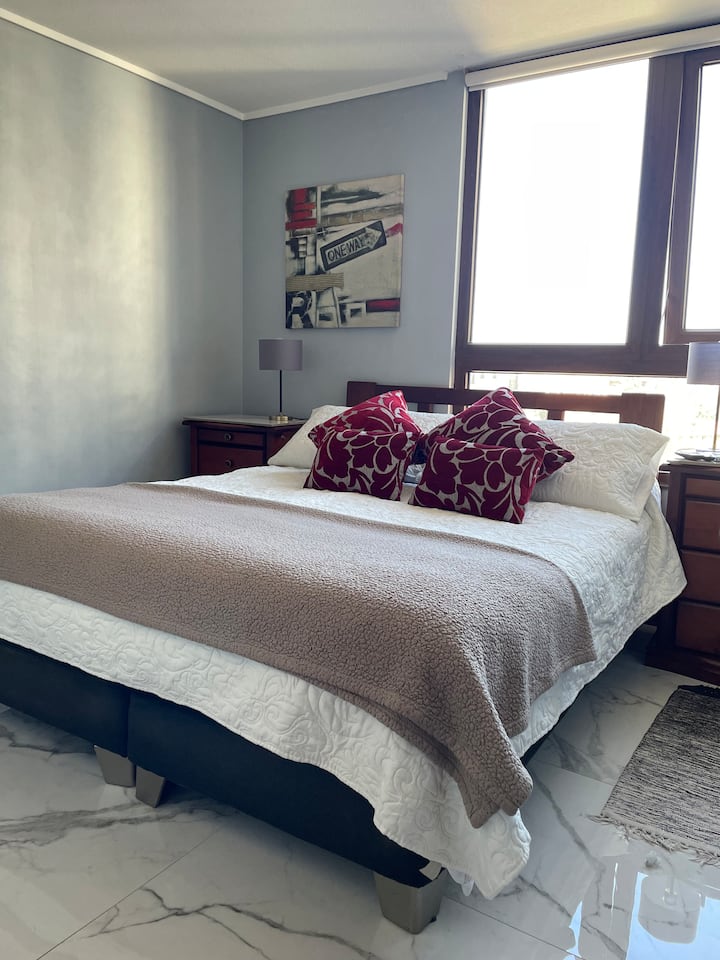Private Room & Bathroom / Excellent Location - Providencia