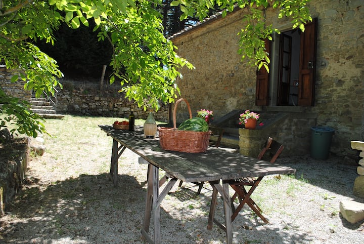 Contea Dei Fieri - Cortona