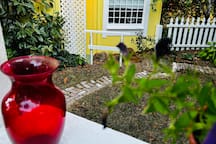 Rustic cabin on the top hill in Forestville, CA
