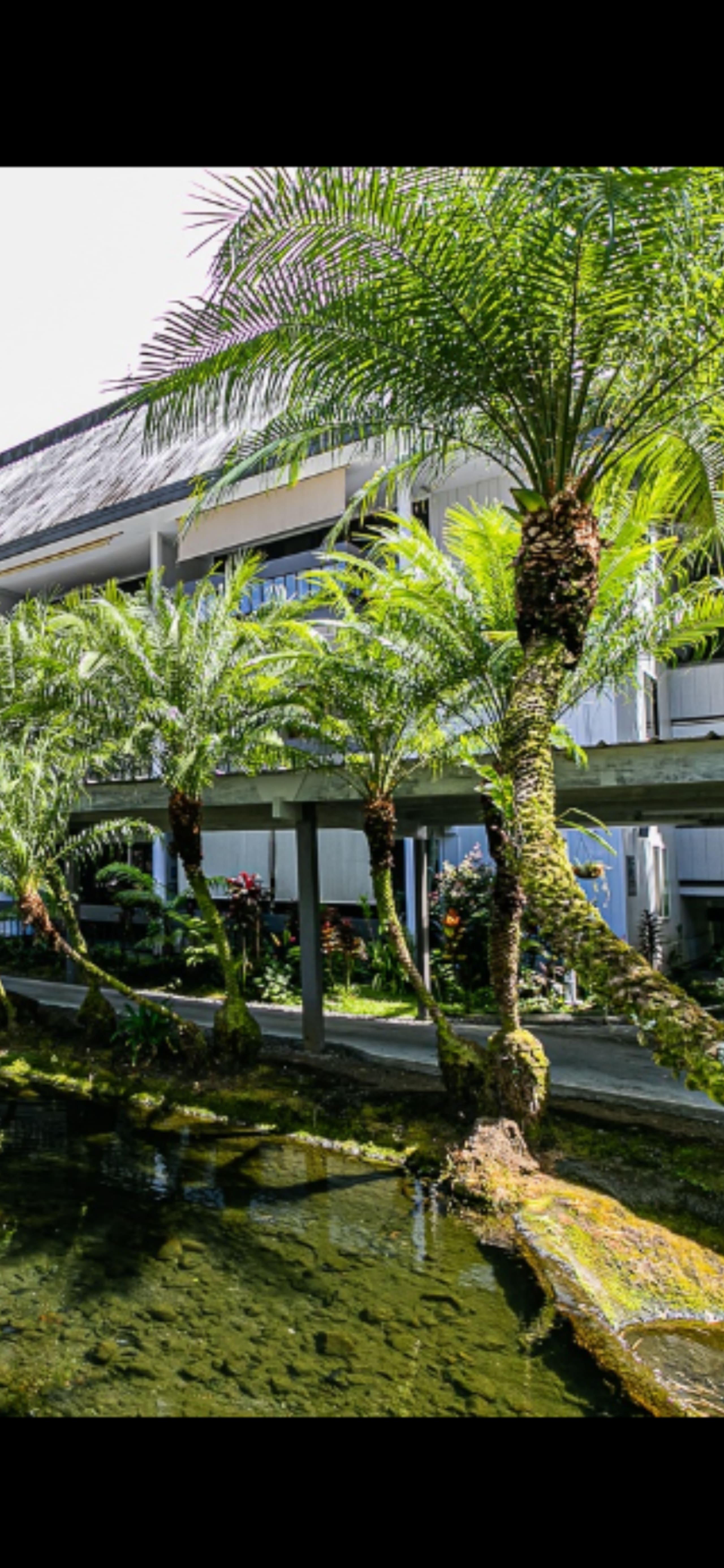 Cozy and convenient AC apartment located in Hilo - Image 25