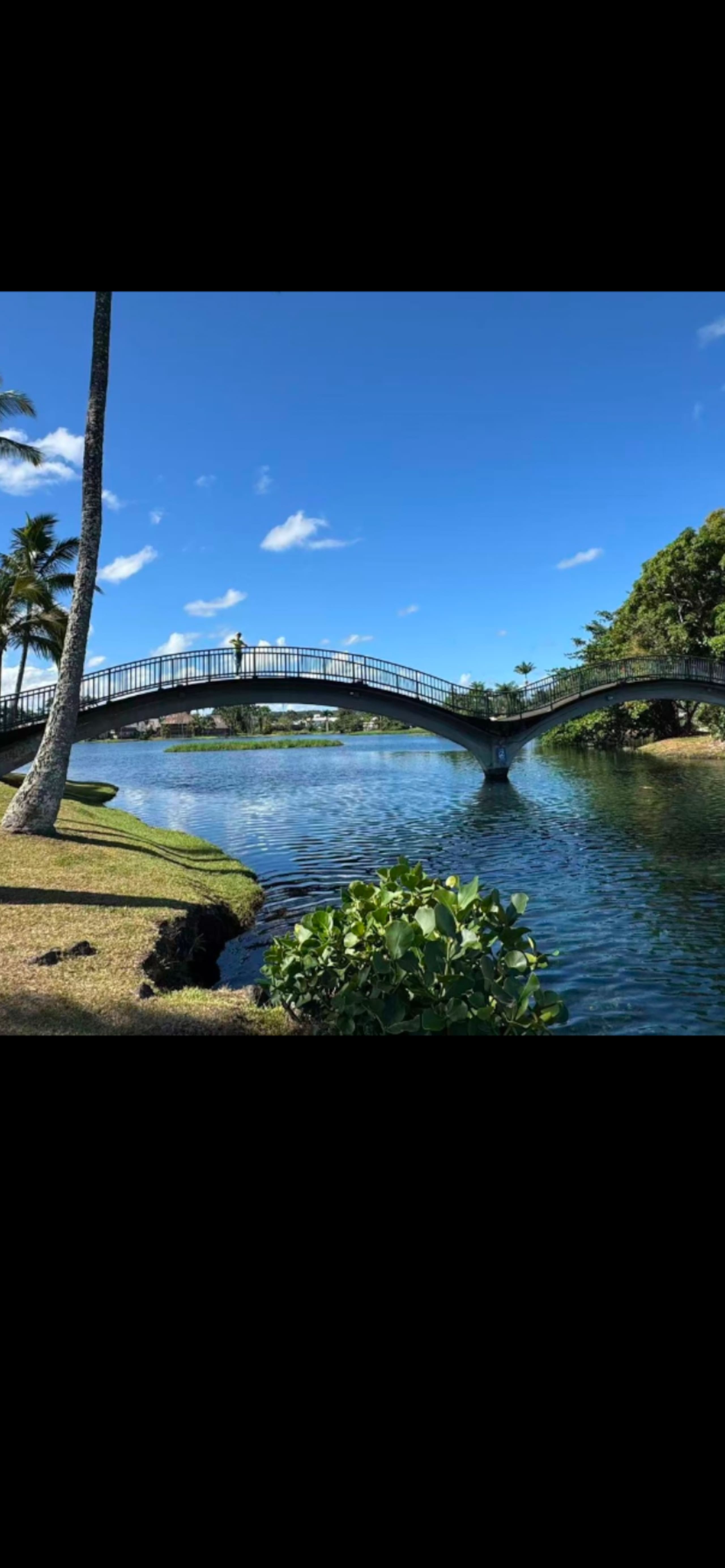 Cozy and convenient AC apartment located in Hilo - Image 41